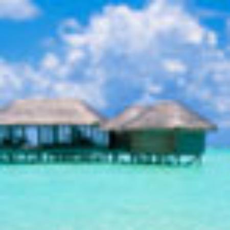 Pookie's Bakery & Cafe